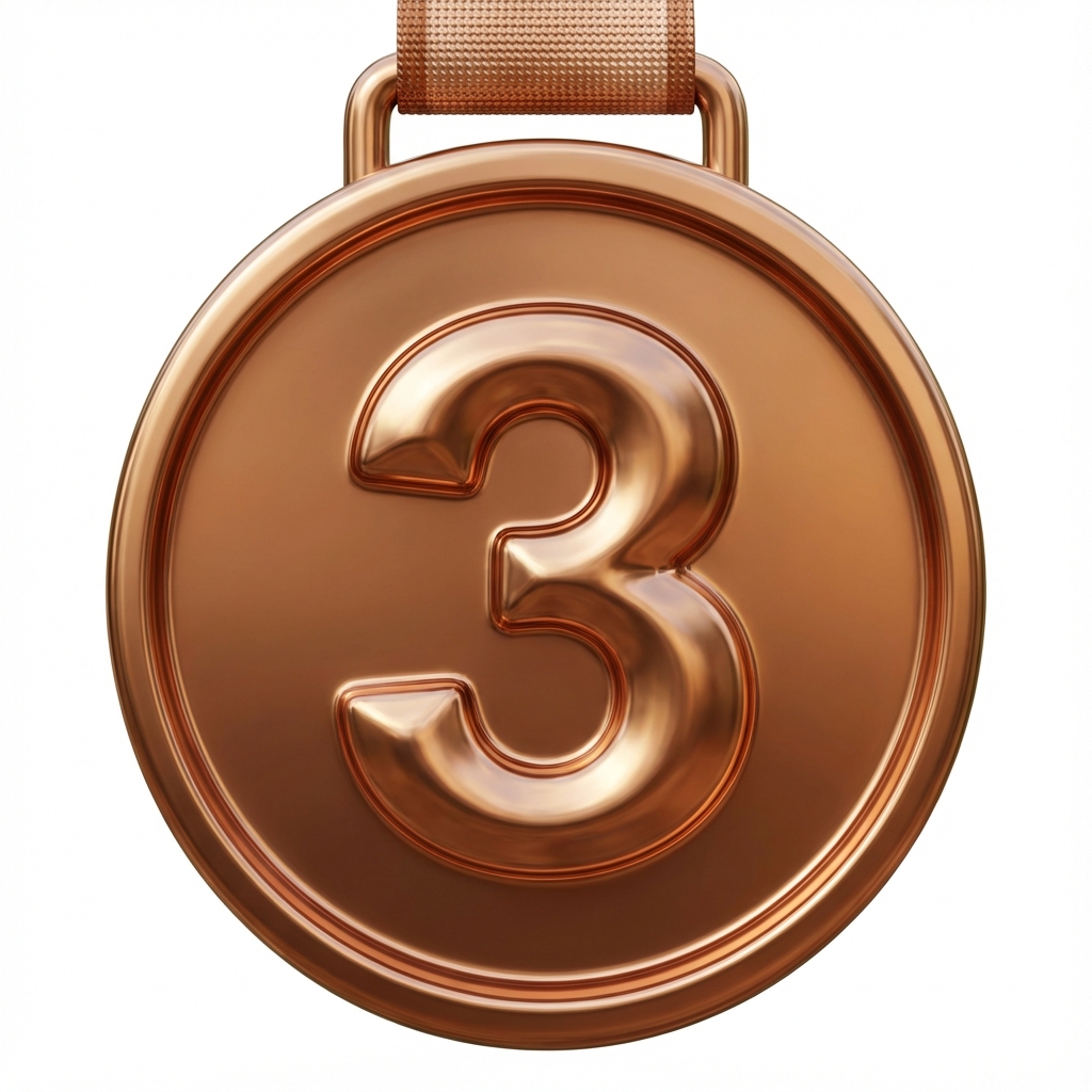 Bronze Medal - 3rd Place